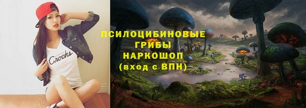apvp Горняк