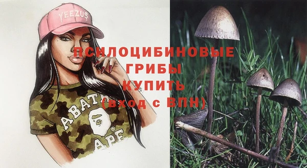 MESCALINE Горно-Алтайск