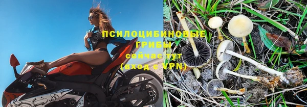 apvp Горняк
