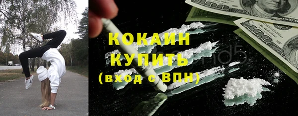 гидропоника Горнозаводск