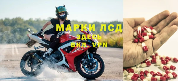 apvp Горняк