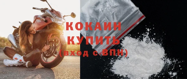apvp Горняк