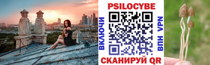 Купить закладки  Карпинск  Галлюциногенные грибы GOLDEN TEACHER 