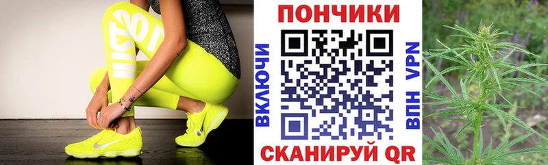 Каннабис сатива  Купить закладки  Карпинск 